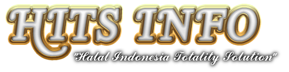 HITS INFO